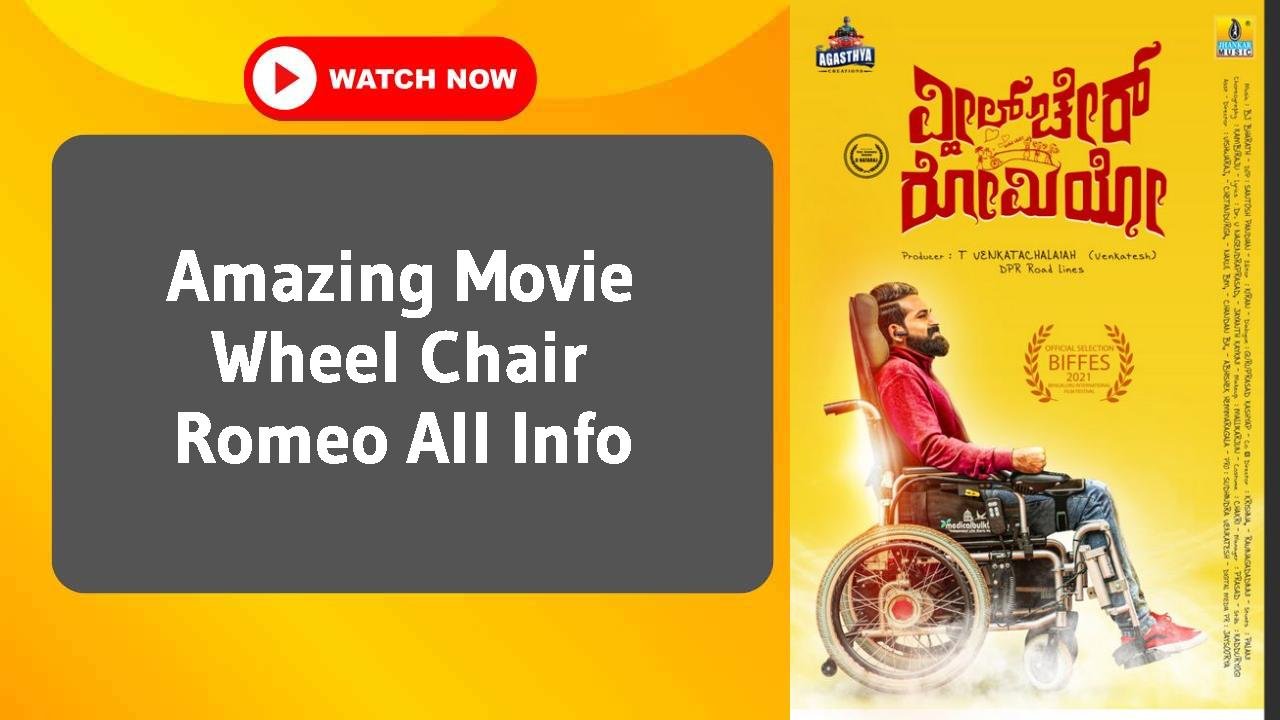 Wheel Chair Romeo